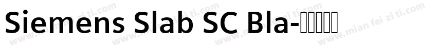 Siemens Slab SC Bla字体转换